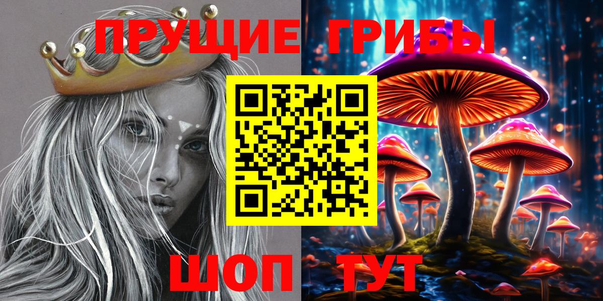 Галлюциногенные грибы Cubensis  Галлюциногенные грибы Psilocybine cubensis  где купить наркоту  Вход с VPN  Северск 