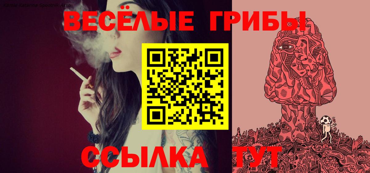 Галлюциногенные грибы мицелий Северск